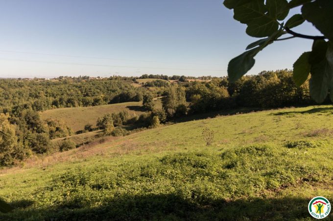 31G100135-3642268c50b4492498645b21177c49a0