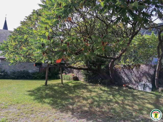 31G100242-649bf281d4244d858e9c32df8d5b0398