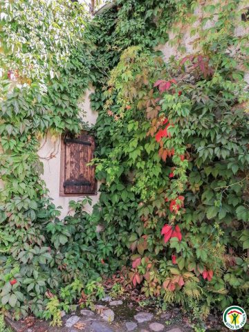 31G100242-7b7ad3d04540447b9d99c29fb50e5ba4