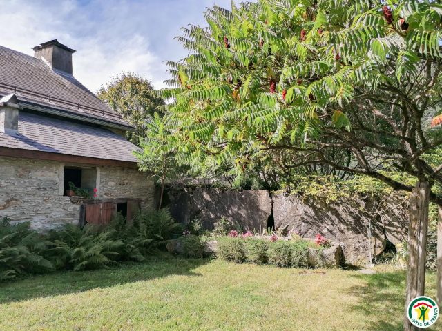 31G100242-a0345b17523b43e49f8b33d4a23b255c