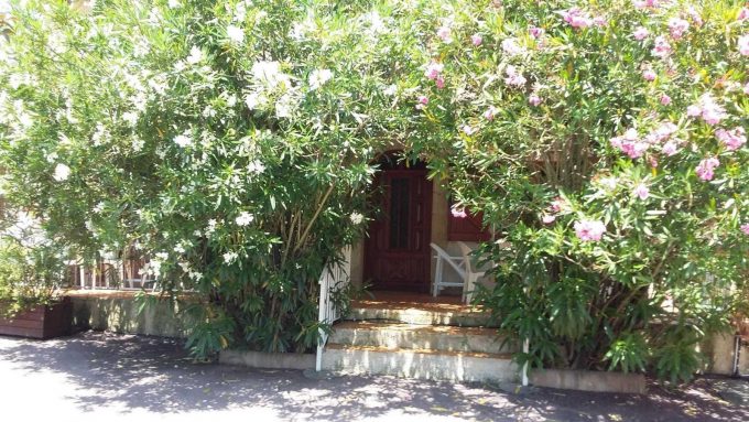 31G100253-57ba59f0fb224feb9f9865e32ec5732e