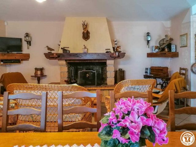 31G100253-acea93acdd6a4e67a60b2a00d3012fa3