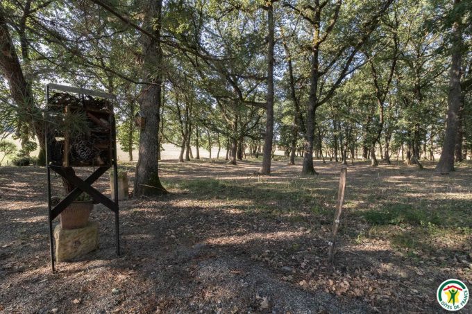 31G100307-0d34d6c0ec0041118536769807995f22