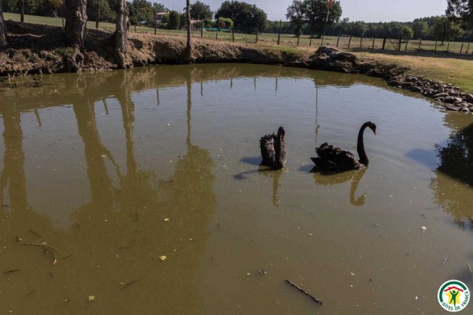 31G100307-17d79910a55743cc8d1bff2b5de8032f