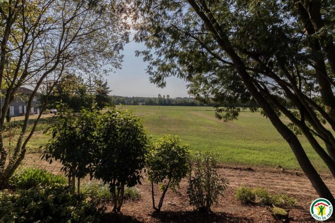 31G100307-188331a8d0784d35aff7fdb3342c65ba