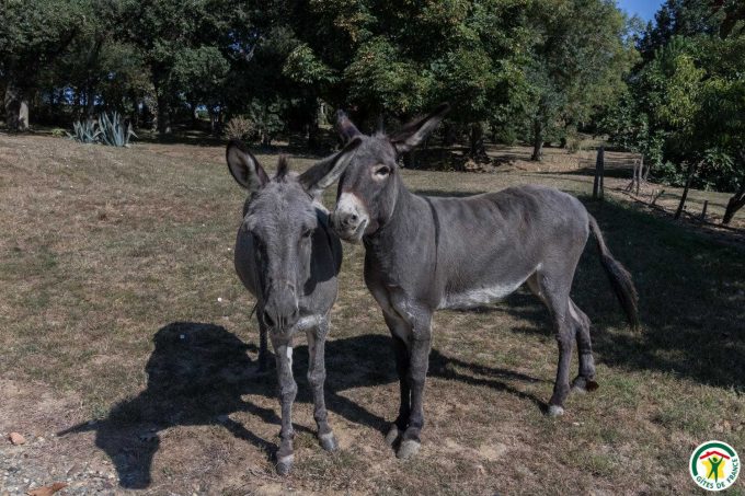 31G100307-1a0b66ca561d416da78e0e163b0f6253