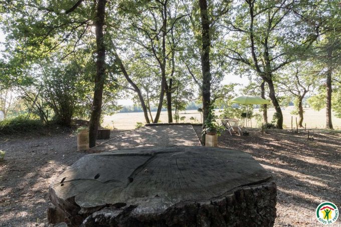 31G100307-44bd417390ba48769e309b71464f9101