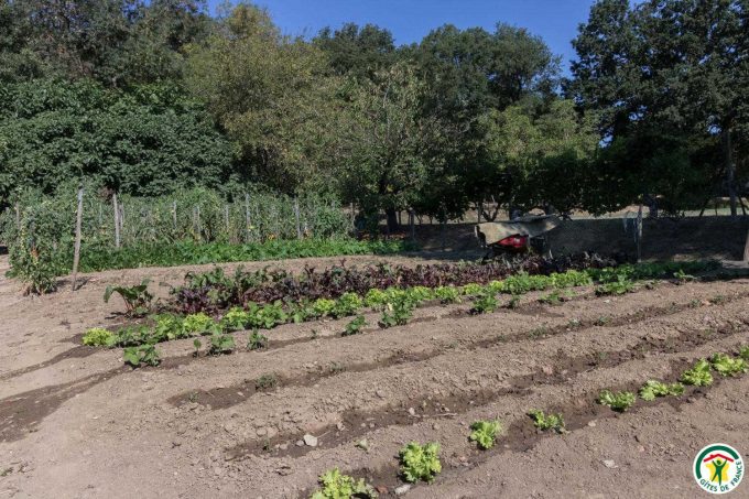 31G100307-7c827d78bcb84c6babff01d8b4f773a3