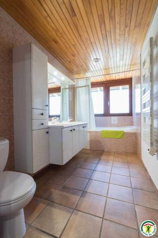 31G100307-e815901054f74417a9f6b442fabfcf06