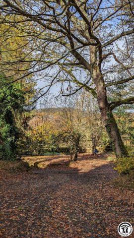 31G100310-29e8385133364403b20e9f9b653cd54a