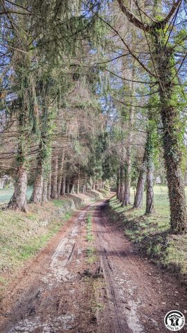 31G100310-4230ab21b46348fa817bb2be7c4d34cc