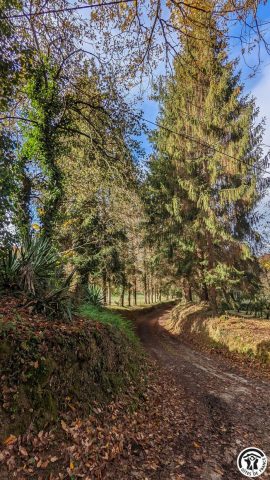 31G100310-aa80df3622f64f68bbaa26201c127712