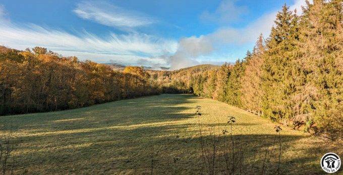 31G100310-e7dcea79c2504d498ac398b663f75c26