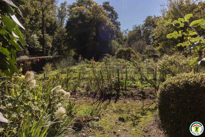 31G100358-801113456d164668a98785dc1acbfd9a