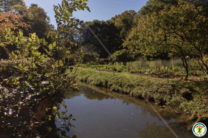 31G100358-e4ce111d51194f3db77885edee87667c