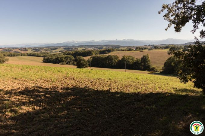 31G100358-f87541922cb945aaab9980e27abc52ea