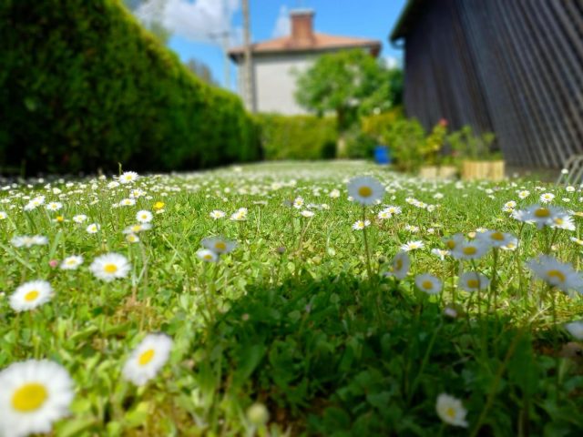 31G100471-0aa06c738925428888927563b0ce8d5c