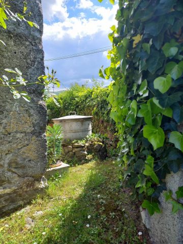 31G100471-4f6e21d4a1a44414936f14d9d2547692