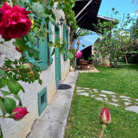 31G100471-b77ed0b669984d3f88ad86f3ef17c057