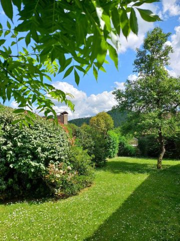 31G100471-bafa9d02707b41e1babaa46c2762d8e1