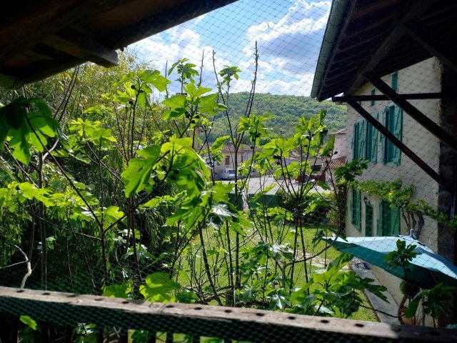 31G100471-f756e4dfd8ae4a2f8f595e9e390f4e1d