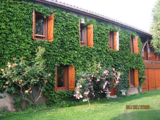 31G100509-67d0b22b744e491b8cfa489d998dded5