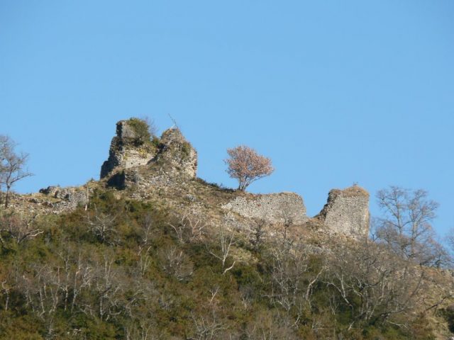 31G100509-ea03ca037f7d46b2ae14856306e293b8