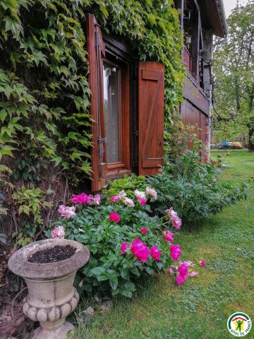 31G100509-ecd1b179ec21442eb91ade1a14a77d91