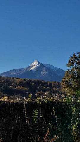 31G100587-b7ba1e5f46b4418c9d6595f0774398c3