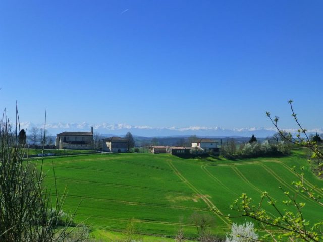 31G100621-2af10549ea0e49be87770d822c4834d0