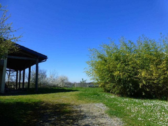 31G100621-3992270466974dcca6f9cac4aa09b3ec