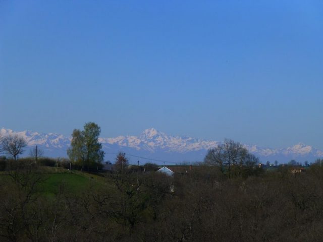 31G100621-3dc13117a25e41299a305f16475cb4e3