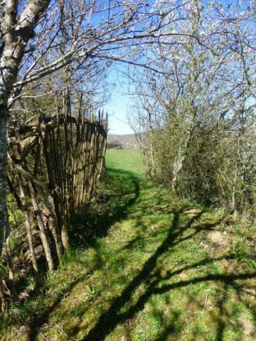 31G100621-b438e046812e47509ed265285016c08d