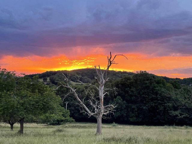 31G100773-e5be5560d9904208a0ba1d45e9b19f89