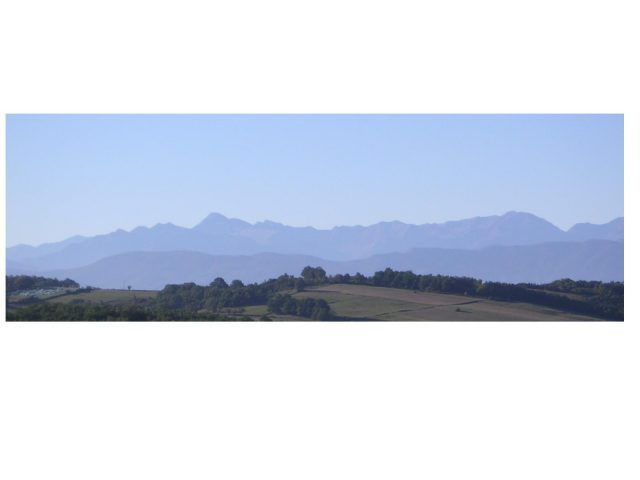 31G100978-2688150ce23541f3a5a29575760fd6c8