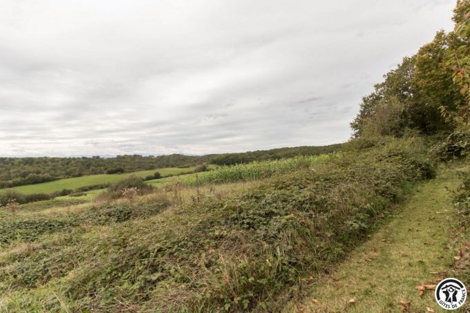 31G100978-429a6e60e3c34d1a913dea8a5dcc2b97