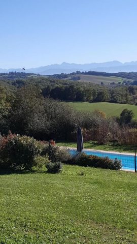 31G100978-4615899a6ab548518c596e9c561a1f94