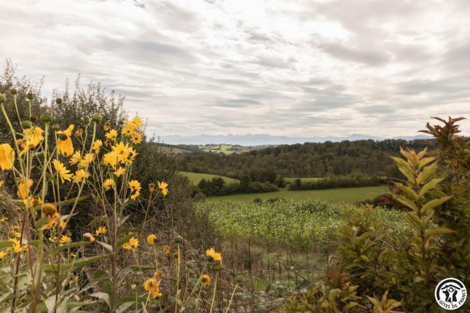 31G100978-72c6e843cfe04945ac6ad28e3ab83690