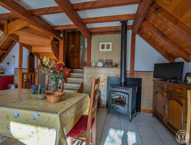 31G101017-11bab788a38e45188cbed4ac2ff282a5