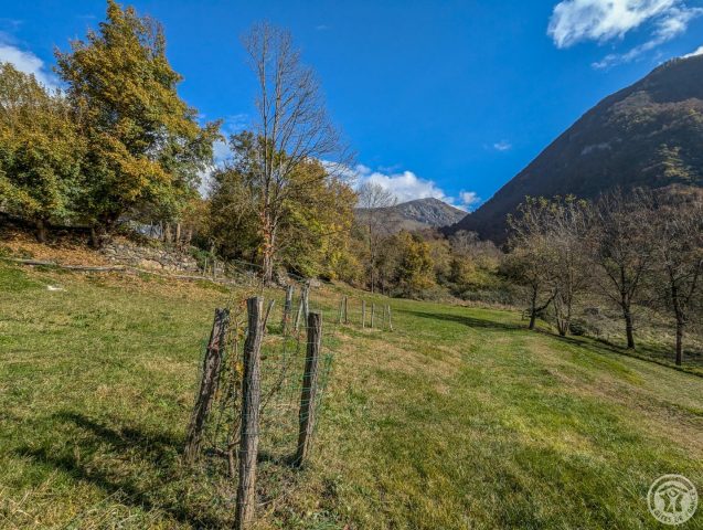 31G101017-a64eb11ec5884765865ca2213d9e701a