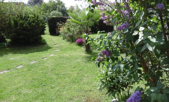 31G101092-008e59b715a049aca606ccac88f6ceac