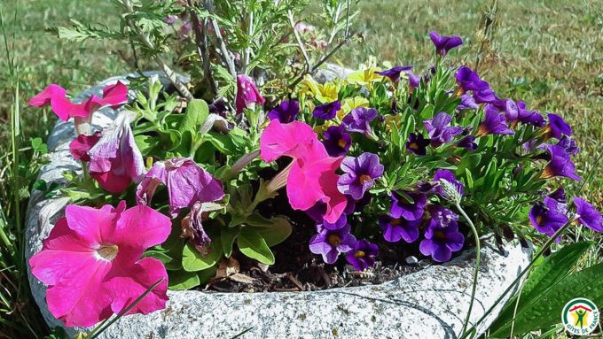 31G101092-107298e2066a4672b746737196a9fd71