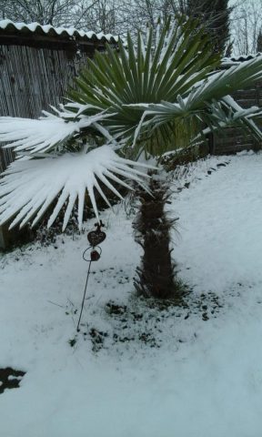 31G101092-77b21f2197dc45738aaabd2ff74dbee8