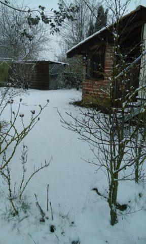 31G101092-fa1a5b2d004b4014a47b12647e56b4da