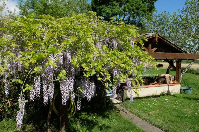 31G101102-4198ac053e704a36b6341668743ec5c5