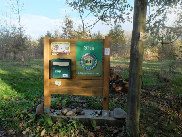 31G101102-81fba548b4b9422eaaa060d7e1e8a55f