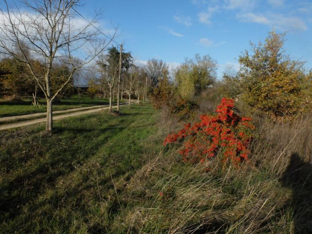 31G101102-db96214c89d84ddfb63aa5eb437c5943