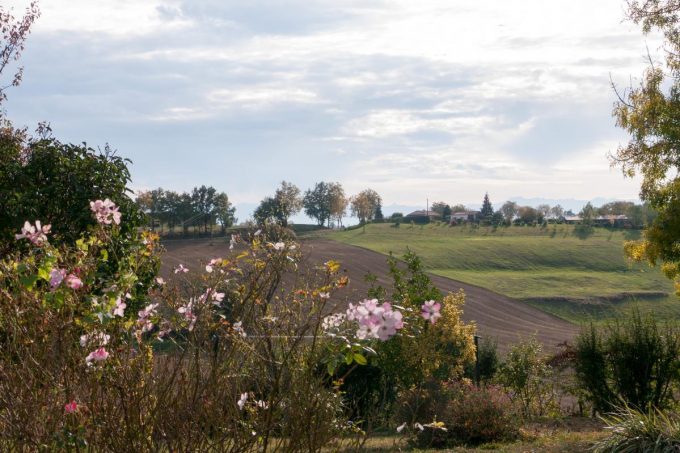 31G101170-0edd56c02084437887666528c8f11954