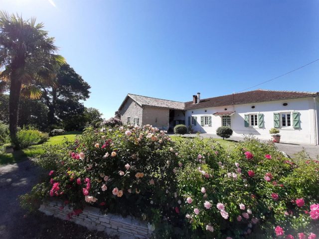 31G101170-3f0db847b4d045768cbbffa9e6c8bce3