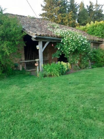 31G101170-69f54533a43f4bf1990aea757eb9dd00